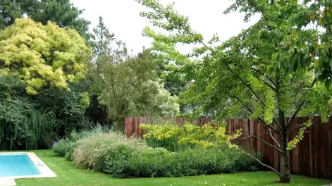 Diario de Cuyo | 4_ 728x546.webp