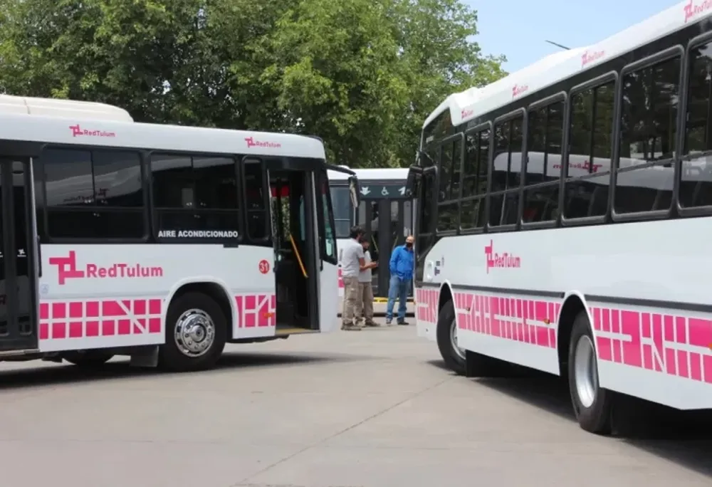Dos líneas de colectivo gratis para ver en pantalla gigante el partido en el Parque