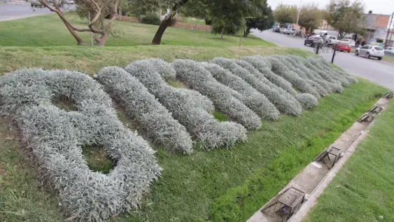 Los secretos detrás del único letrero con plantas que existe en la provincia