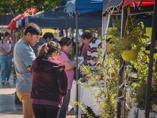 El sábado 11 de abril arranca el calendario de la Feria Agroproductiva de Pocito. El sábado 11 de abril arranca el calendario de la Feria Agroproductiva de Pocito.