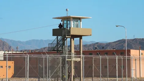 Los atraparon robando y se hicieron pasar por hijos del dueño: irán al Penal
