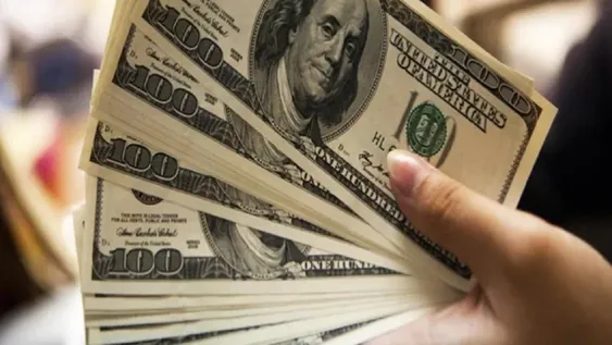 ANSES: cómo consultar quién está autorizado a comprar dólares
