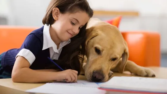 El ranking de las 5 mejores mascotas para los niños y cómo lograr que ellos las cuiden