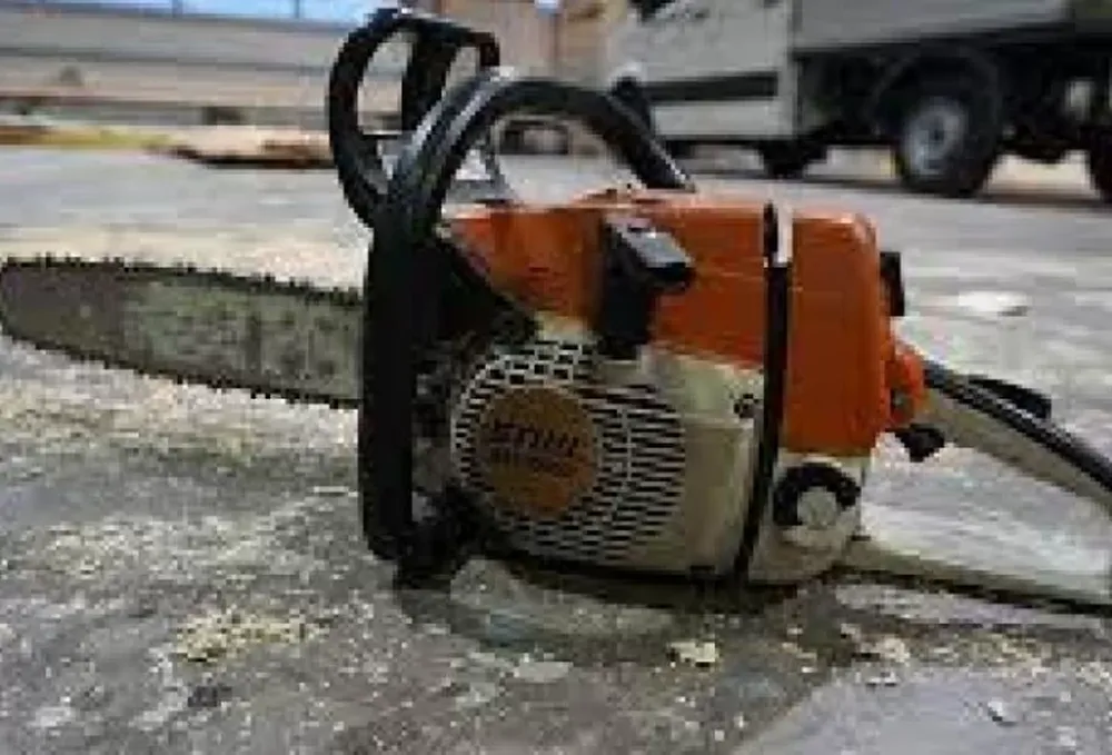 Cortó los testículos de su pareja, quien tenía denuncias por violento, y luego los cocinó