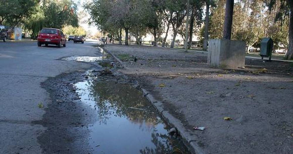 Empezaron a sacar los pancheros del Parque