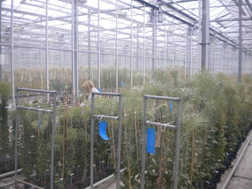 Semilleros de San Juan y Mendoza en viaje de capacitación por Europa