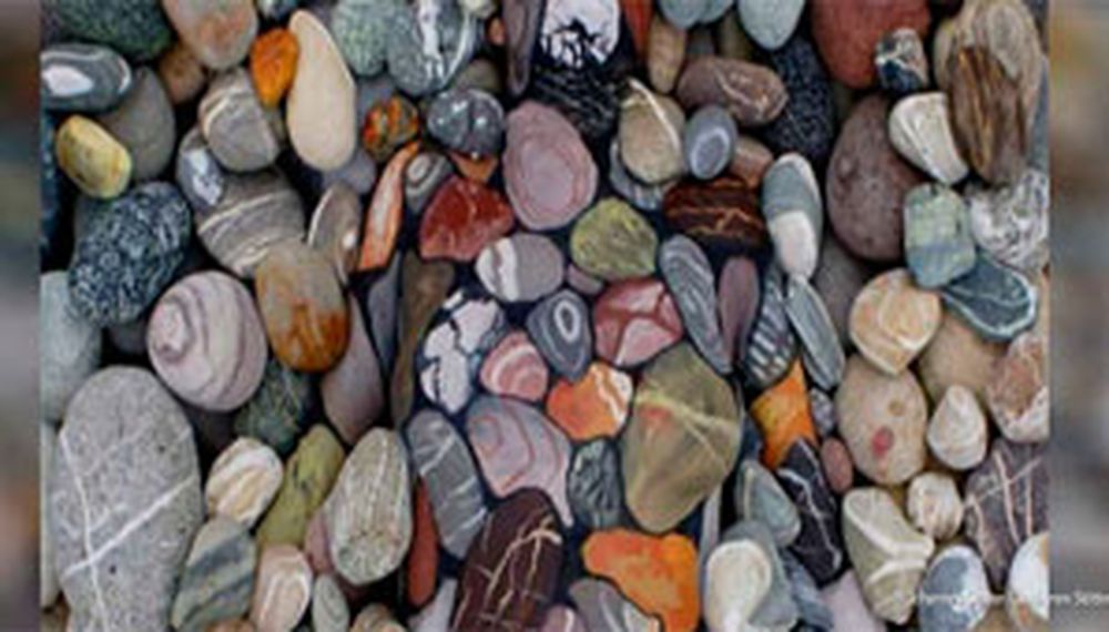 ¿Qué ves entre estas rocas?