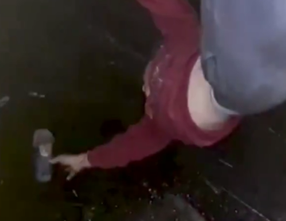 [VIDEO] Un niño salvó la vida de un cachorro sacándolo de un pozo de petróleo