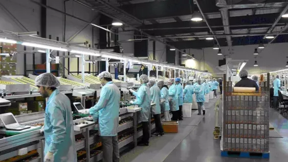 Le ponen plazo a la doble indemnización y a la prohibición de los despidos