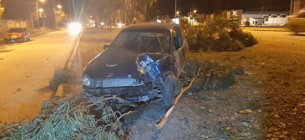 Perdió el control de su auto e impactó contra un árbol: él y su bebé de 2 años, internados
