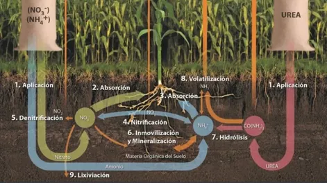 Nuevos desarrollos en técnicas de fertilización para los cultivos