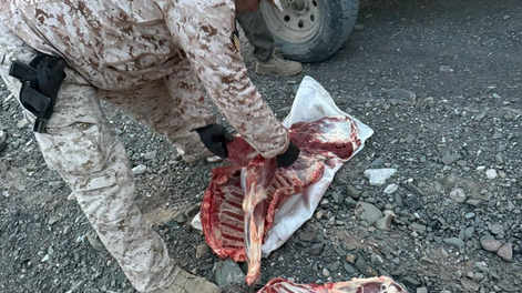 La Policía secuestró carne de guanaco durante un opertivo.