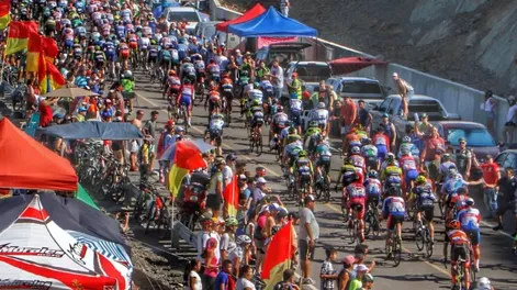 Diario de Cuyo | dcc260822 035f03 627x728.webp