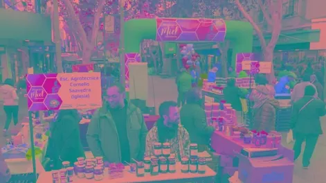 X Semana de la Miel y I Expo Apícola