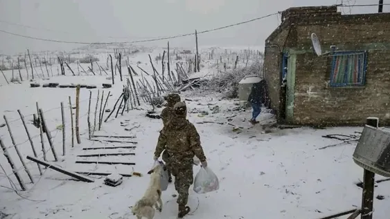 Historias, rescate y problemas bajo la nieve
