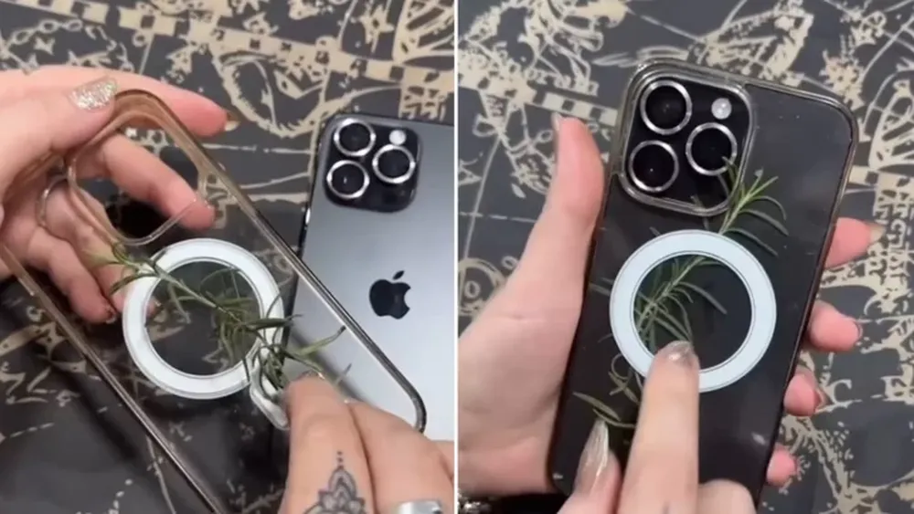 Celular y una planta: el truco para atraer éxito y prosperidad en este 2025