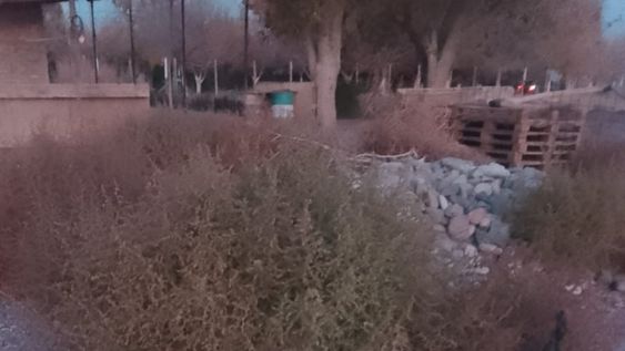 en pocito: una pareja con un frondoso prontuario fue detenida por ingresar a robar a una vivienda