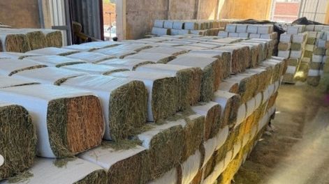 La empresa produce pellets y fardos prensados que luego envía al exterior, exportando decenas de contenedores al año.&nbsp;