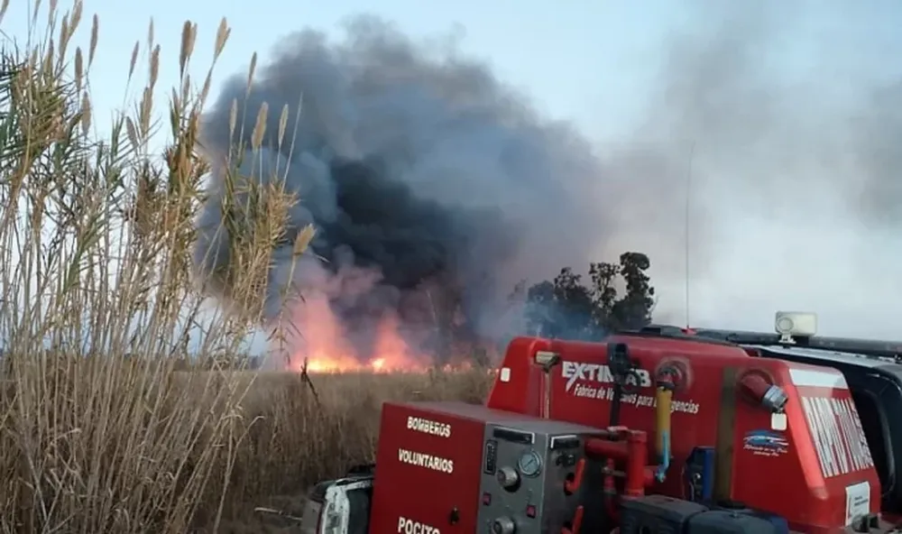 Importancia de prevenir incendios por el zonda