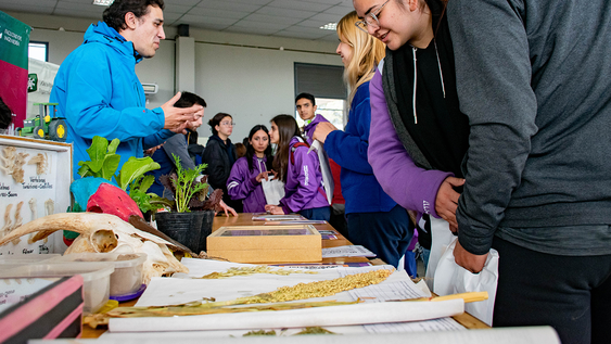 la unsj se alista para la feria educativa con mas de 60 propuestas para los alumnos sanjuaninos
