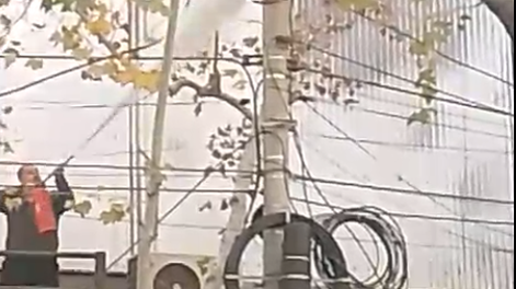 Susto en el microcentro por un principio de incendio en el tendido eléctrico