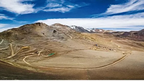 VICUÑA. Lanzó una licitación y esperan que se adjudiquen cerca de 50.000 metros.