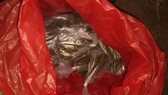 Fueron a buscar muebles robados y encontraron droga, pájaros y hasta armas