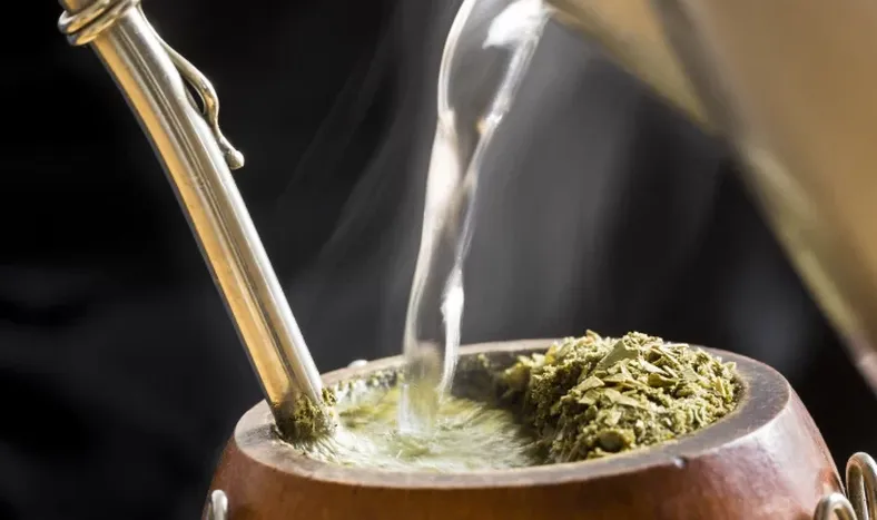 EL mate: La infusión más popular de Argentina ofrece muchos beneficios para la salud y es excelente compañera de vida.
