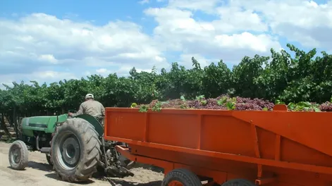 Cumplirá 30 años la Cooperativa El Porvenir, con sede en Rodeo