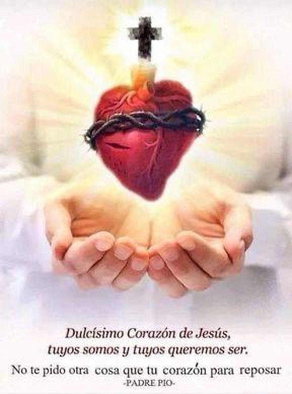 [AUDIO] Reflexión espiritual del jueves 26 de mayo: creer no es entender todo