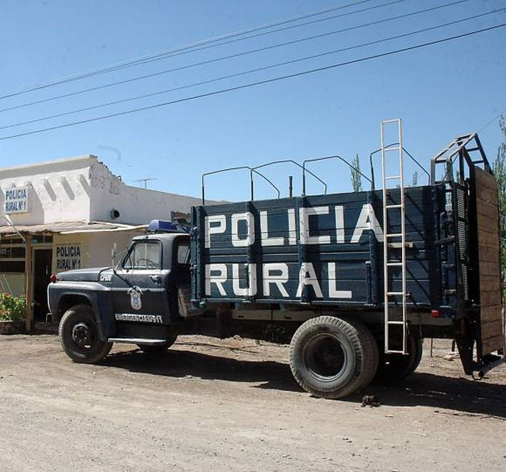 ¿Qué hacen con la camioneta destinada a levantar animales sueltos en la ruta?