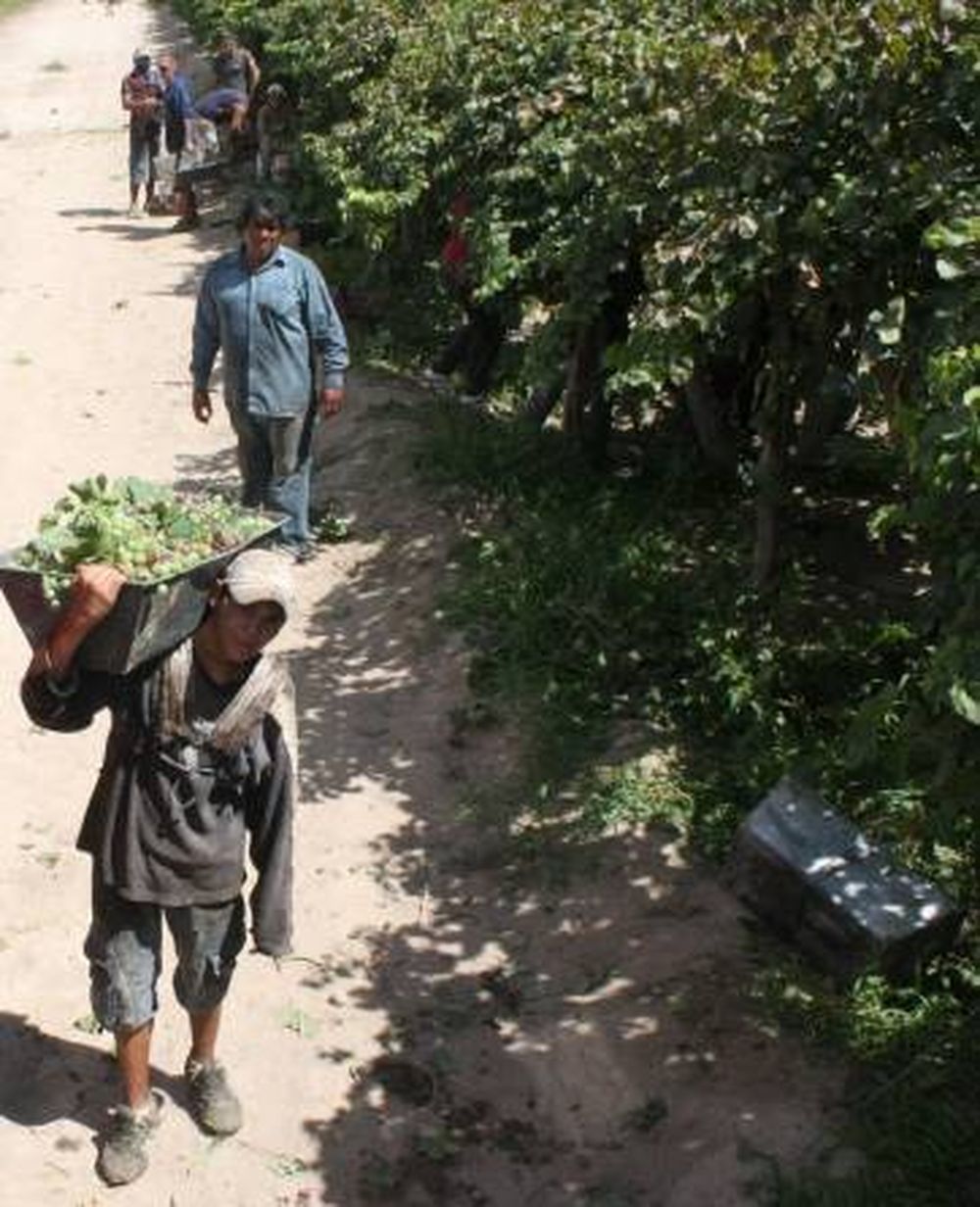 Gamela: alza del 20%, la  más baja en cinco años