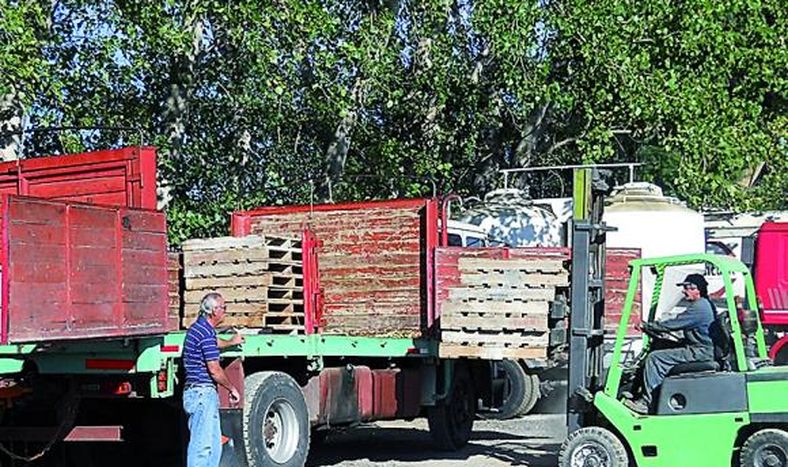 La reactivación del transporte carretero sería para el 2017