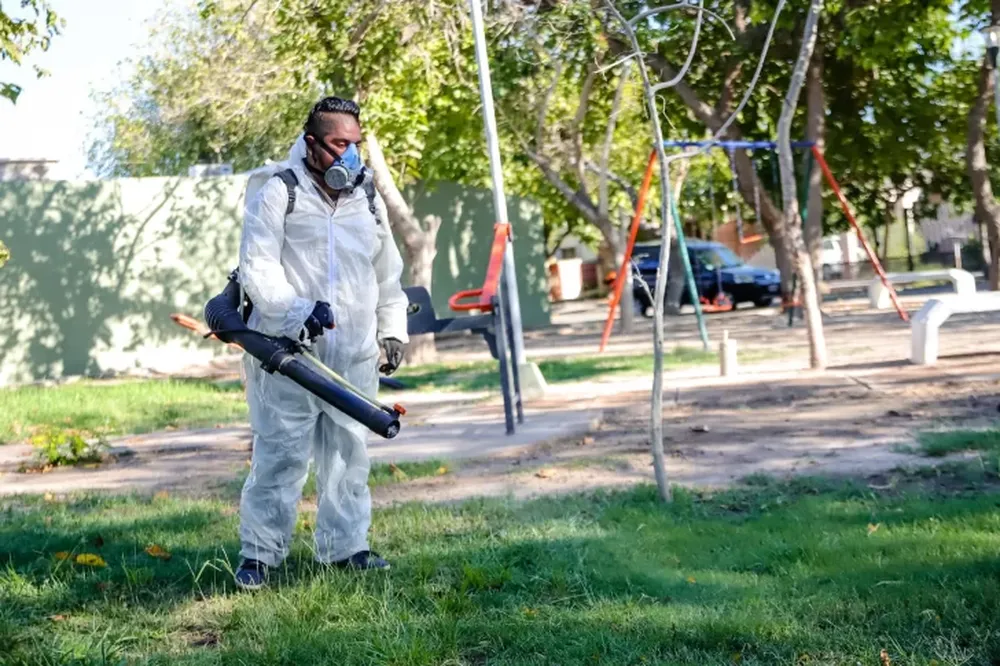 Desinsectación y desratización en la Ciudad: conocé los sectores que se suman al cronograma