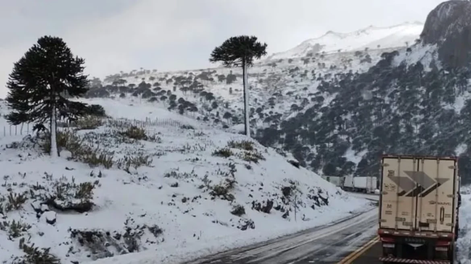Murió un camionero mientras esperaba cruzar a Chile