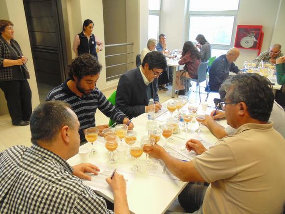 Premio para seis apicultores en el 4º Concurso de Mieles