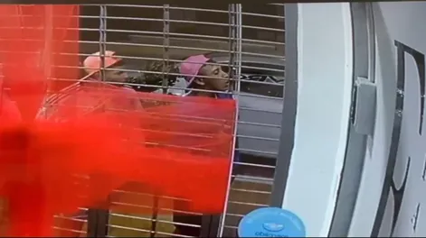 Detienen a un joven y a un menor tras violento robo a un comercio