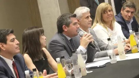 Diario de Cuyo | dcc270124 024f02_crop1706317788033 728x546.webp