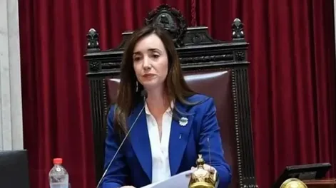 Villarruel apuntó contra los incendios en el Sur y reclamó mano dura y coordinación federal