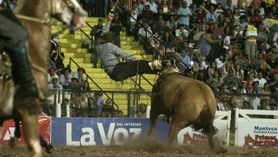 Un jinete, grave luego de ser aplastado por su caballo en el festival de Jesús María