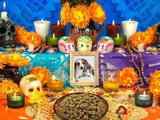 dia de los muertos 2026: fechas, que significa cada dia y como armar un altar para recordar a los tuyos