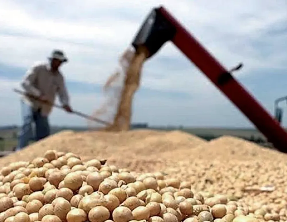 El 64% de los productores postergó sus inversiones