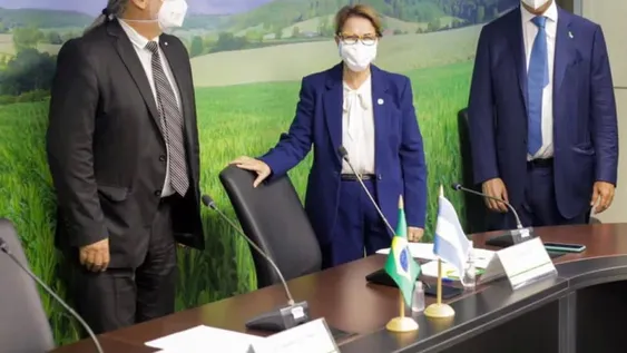 Brasil vuelve a permitir el ingreso de uva en fresco sanjuanina sin bromurar