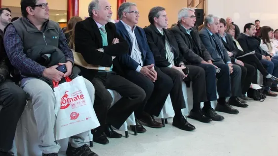 Las mejores fotos de la feria y exposición del tomate