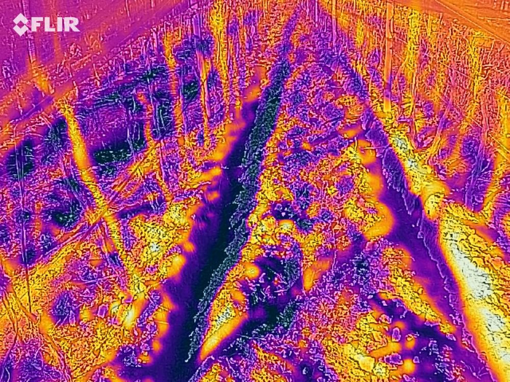 El mapeo de las temperaturas se hacen con drones y con cientos de sensores instalados. 