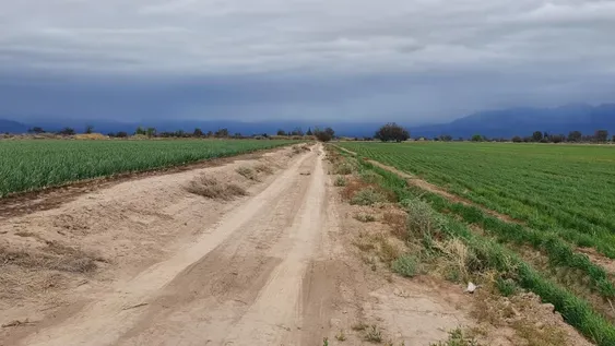 Rotaciones inteligentes