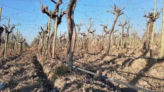 Entidades productivas piden fondos y más facilidades para el riego al nuevo ministro