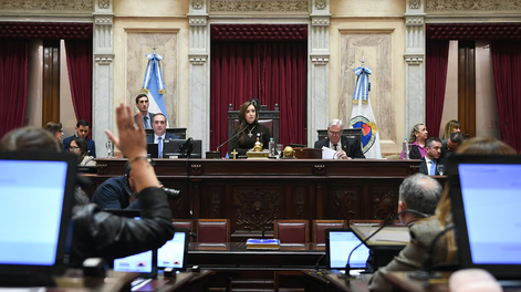 Cámara de Senadores.Foto: Sofía Areco/ Comunicación Senado