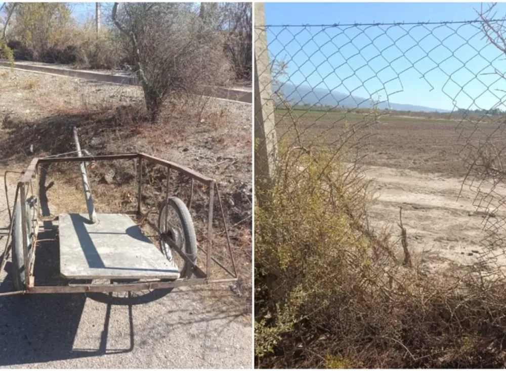 Un joven de 18 años fue detenido por robar 20 cepas de una finca de Zonda