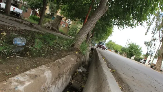 Unas 200 familias se quejan por el olor nauseabundo que sale de las acequias